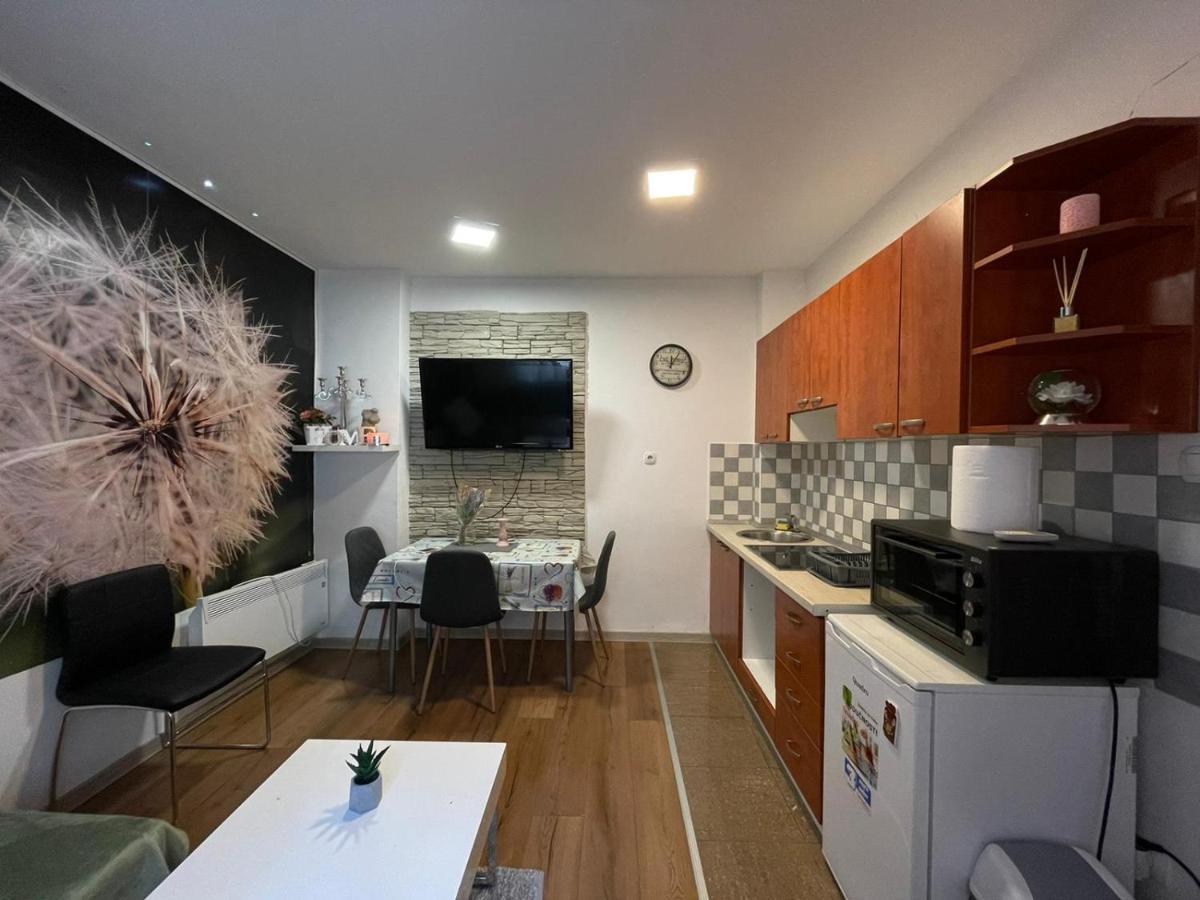 Cozy 1B Apartment Vera-Self Check In ザグレブ エクステリア 写真