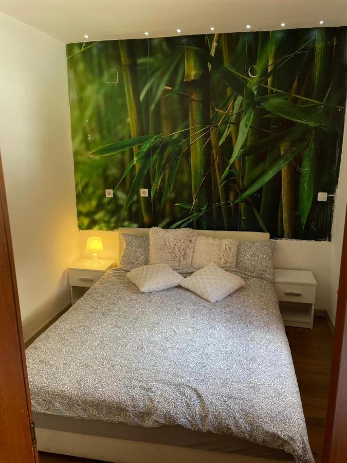 Cozy 1B Apartment Vera-Self Check In ザグレブ エクステリア 写真